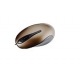 Мышь Gigabyte USB Optical GM-M5100V2 Brown 